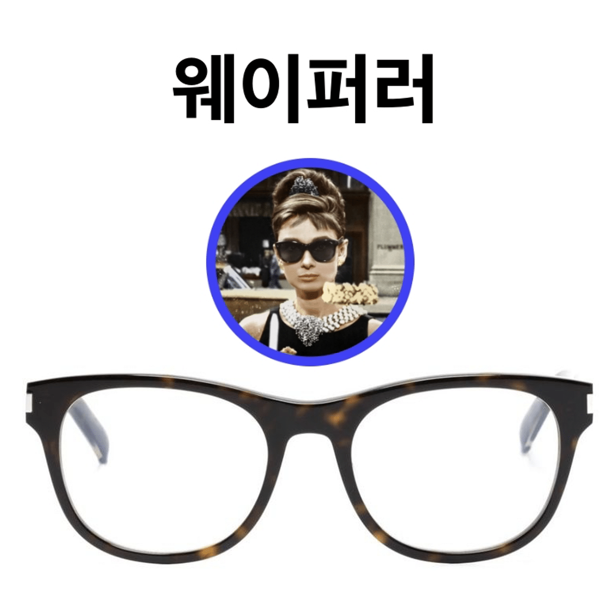 2-1) 웨이퍼러(Wayfarer)