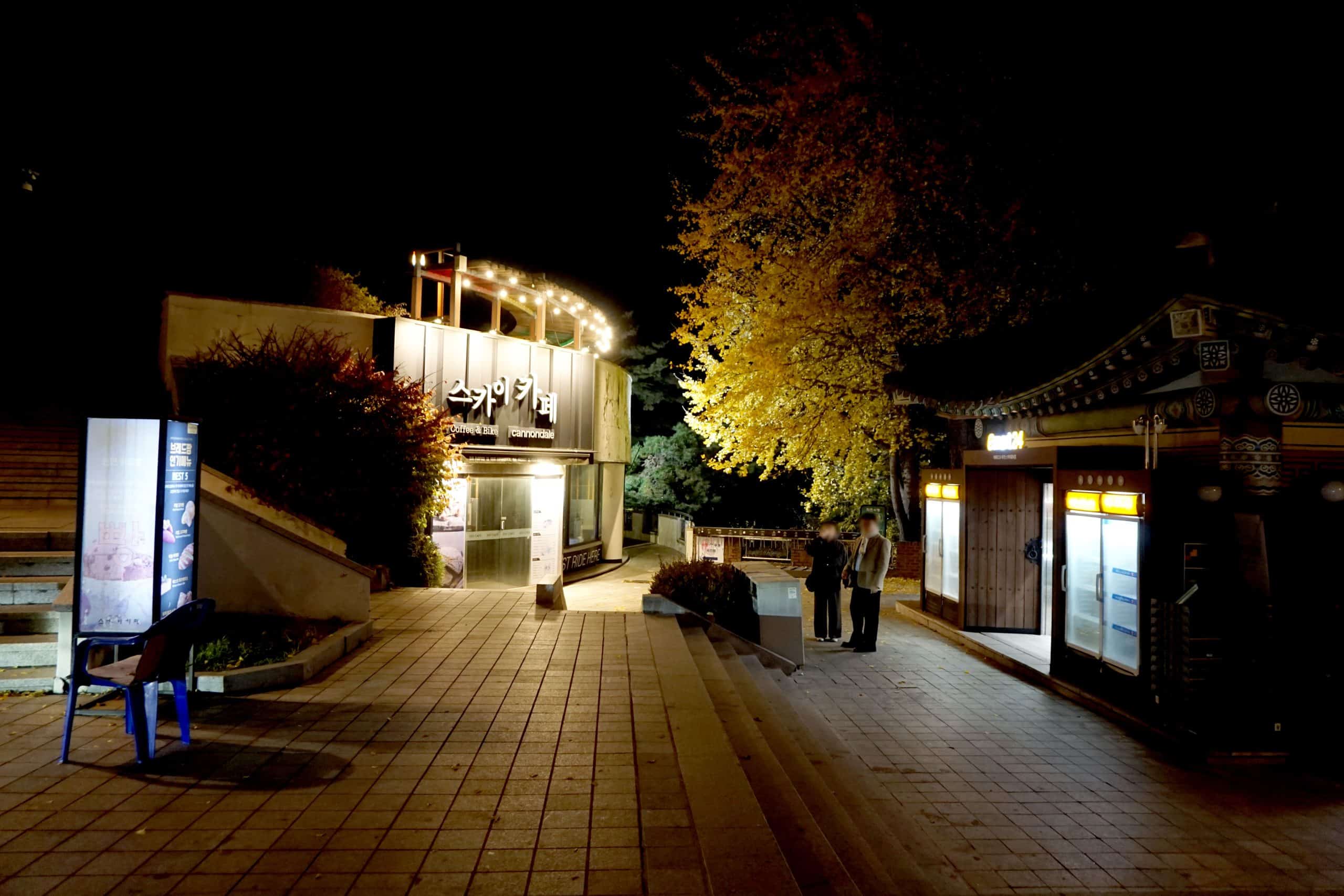 자이스 드라이브 세이프와 함께한 북악산 스카이웨이 야경투어(8)